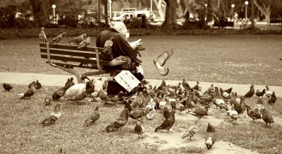 Pigeons woman