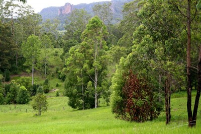 Nimbin