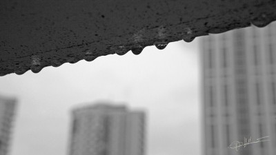 Rainy day