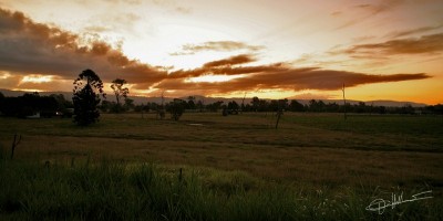 Sunrise in the Brisbane countryside