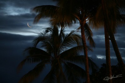 Dark side of the moon