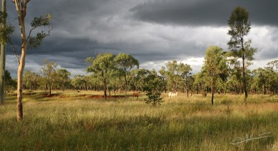Storm coming around